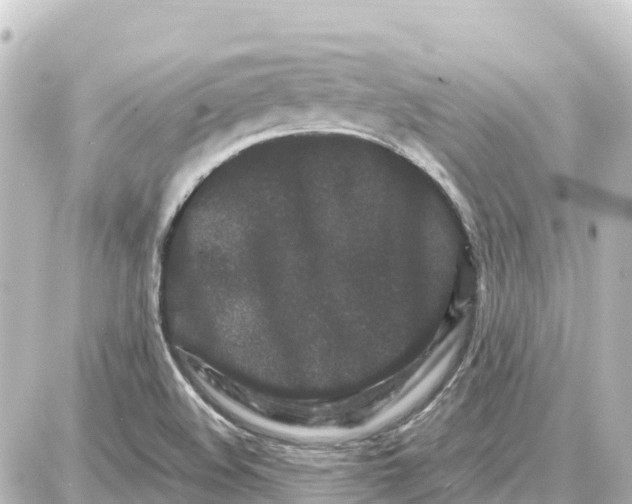 X0000087691508200705251656