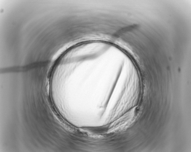 X0000087691509200705251656