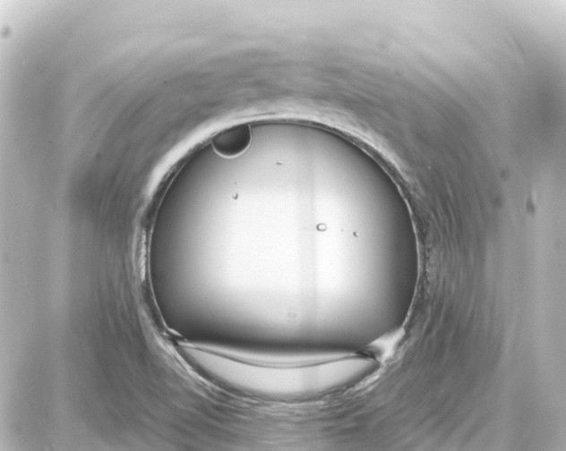 X0000087691510200705251656