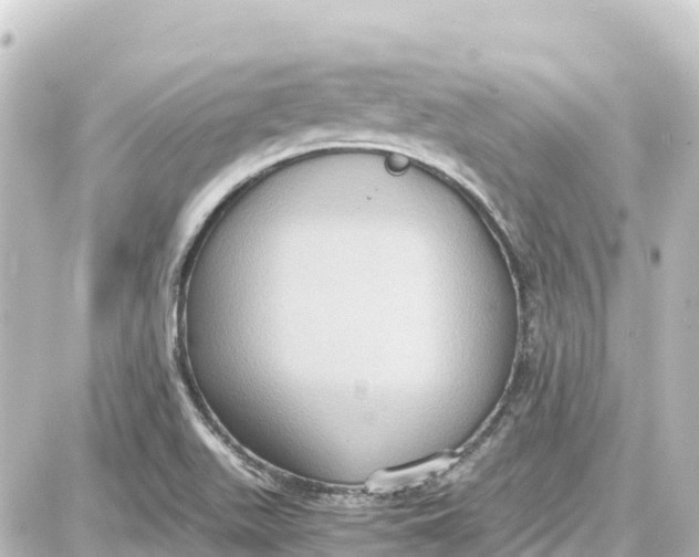 X0000087691511200705251656