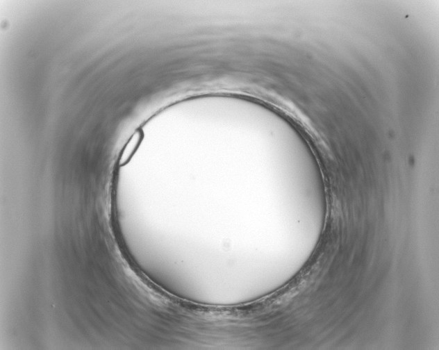 X0000087691512200705251656