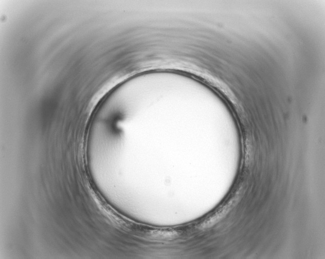 X0000087691513200705251656