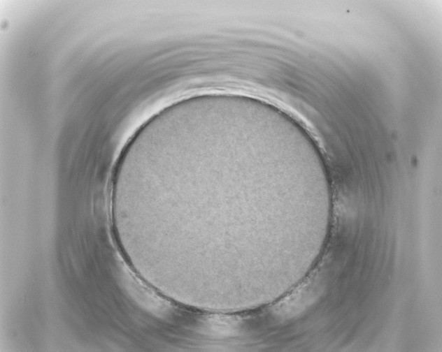 X0000087691514200705251656