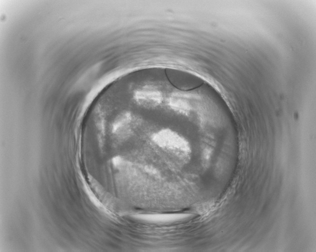 X0000087691515200705251656