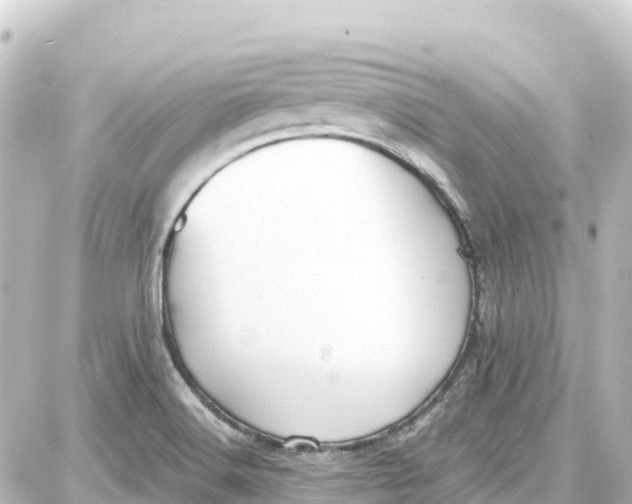 X0000087691516200705251656