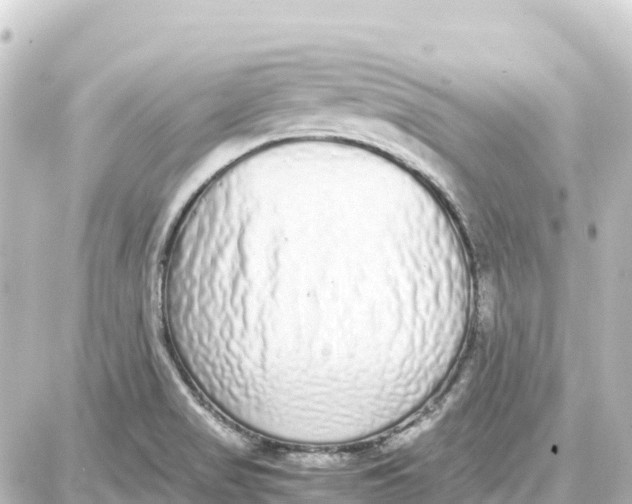 X0000087691517200705251656