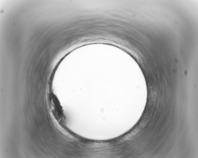 X0000087691518200705251656