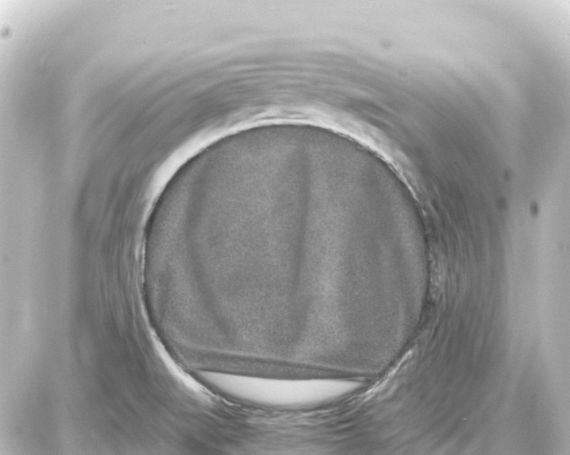 X0000087691519200705251656