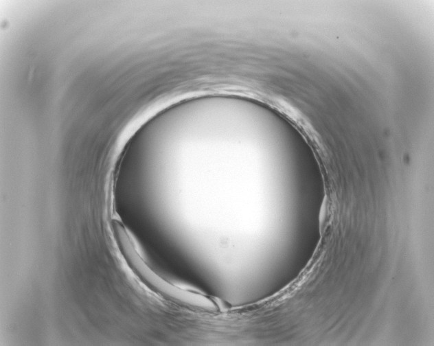 X0000087691520200705251656