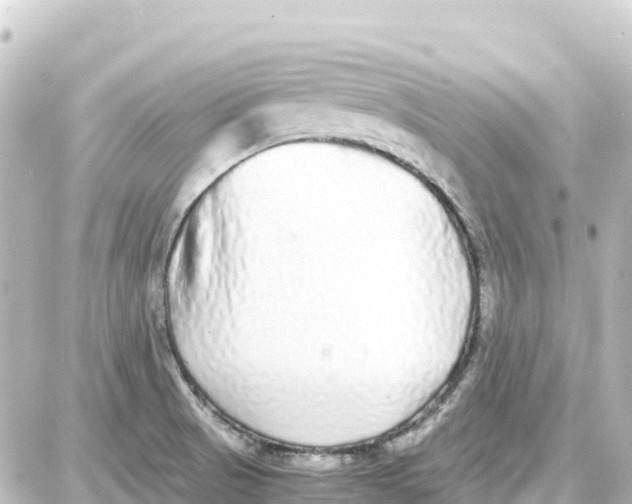 X0000087691521200705251656