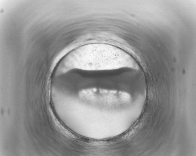 X0000087691522200705251656