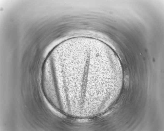 X0000087691523200705251656