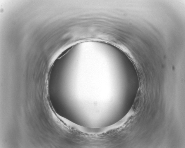 X0000087691524200705251656