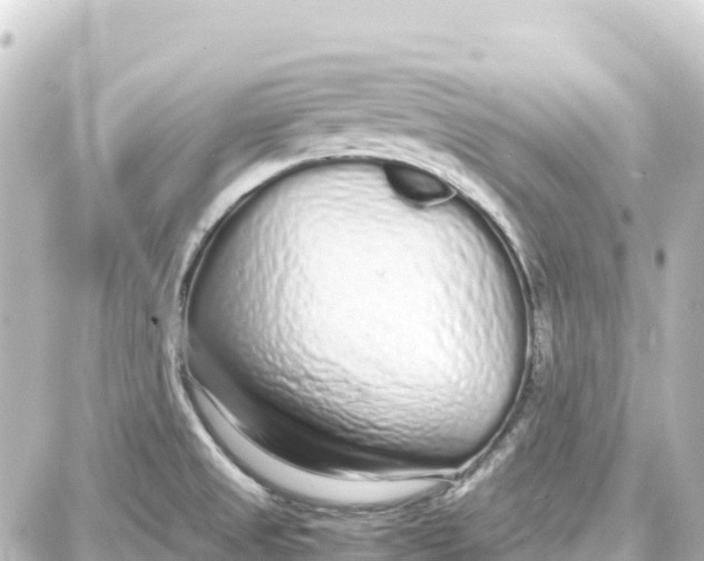 X0000087691525200705251656