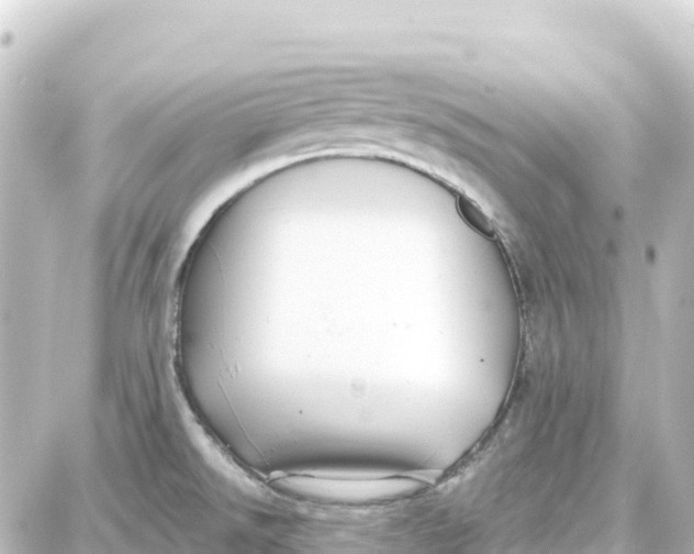 X0000087691526200705251656