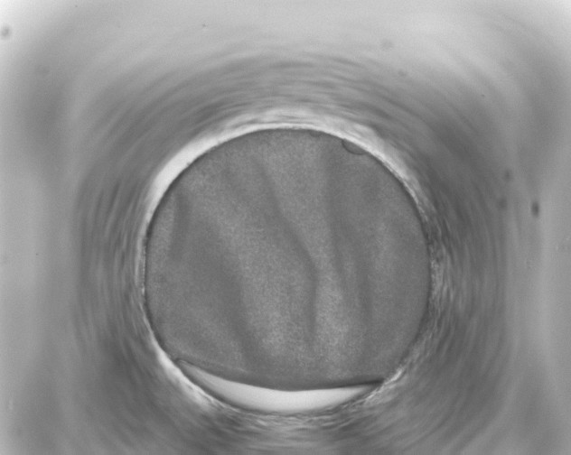 X0000087691527200705251656