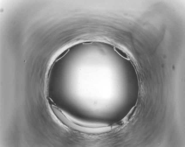 X0000087691528200705251656