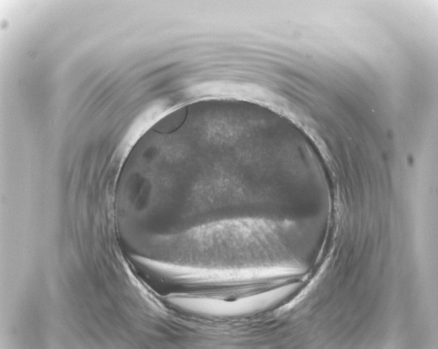 X0000087691529200705251656