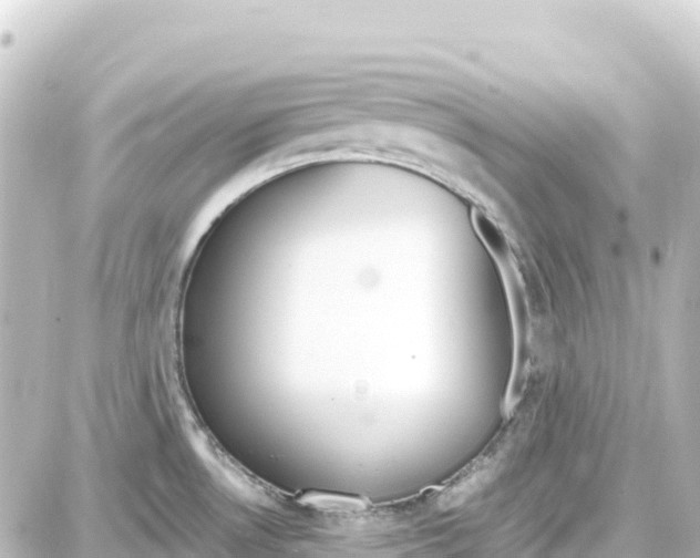 X0000087691530200705251656