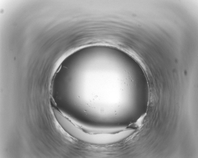 X0000087691532200705251656