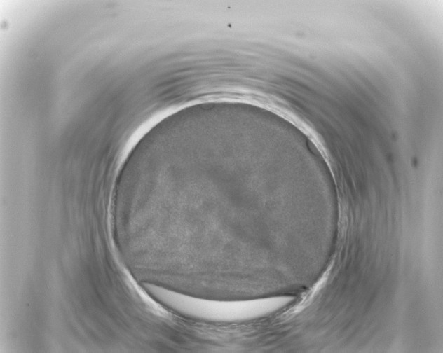 X0000087691533200705251656