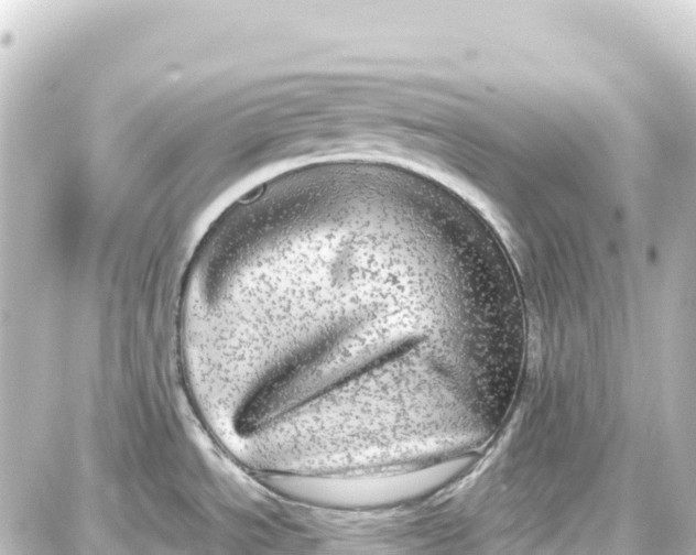 X0000087691534200705251656