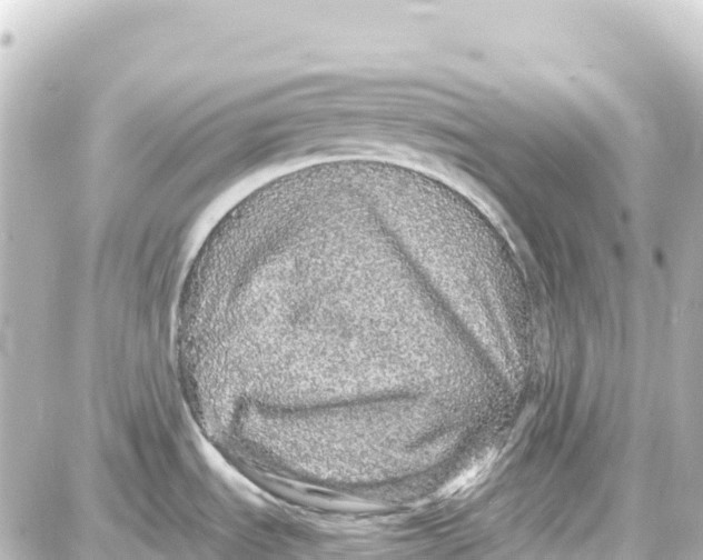 X0000087691535200705251656