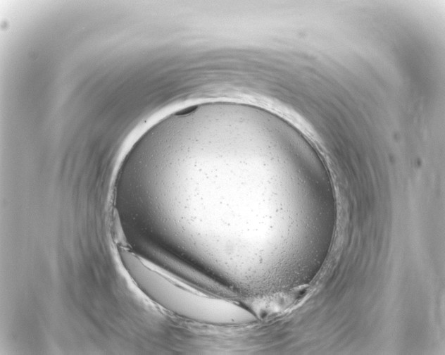 X0000087691536200705251656