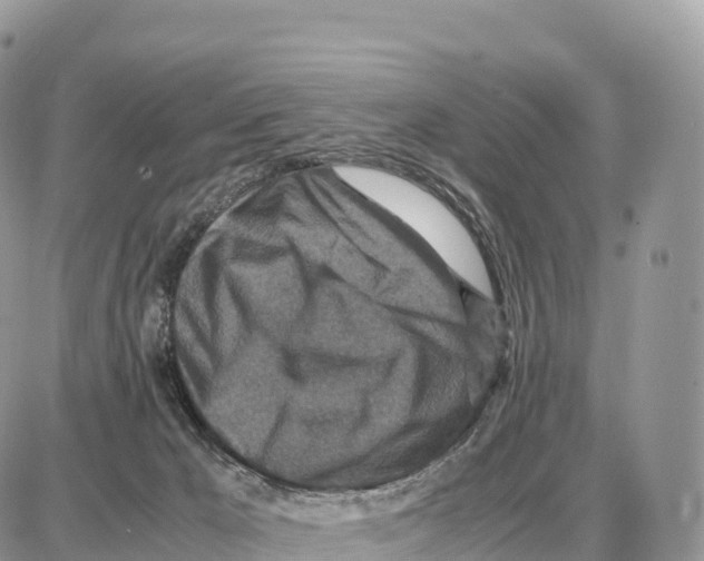 X0000087690029200706011730