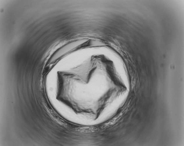 X0000087690050200706011729