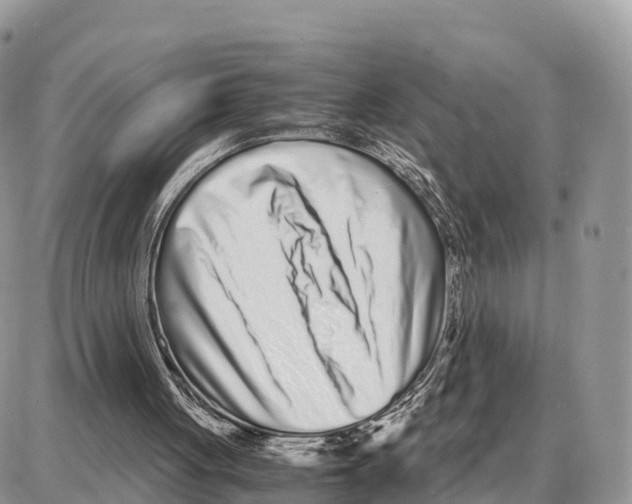 X0000087690051200706011729