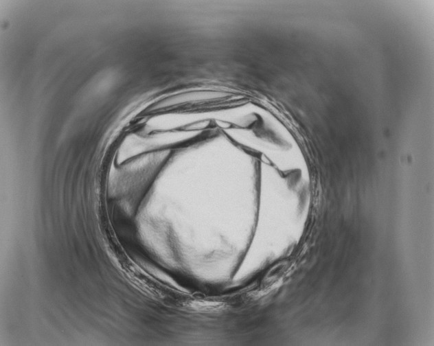X0000087690055200706011729