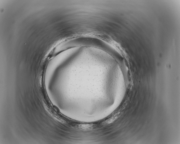 X0000087690060200706011729
