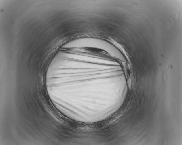 X0000087690061200706011729