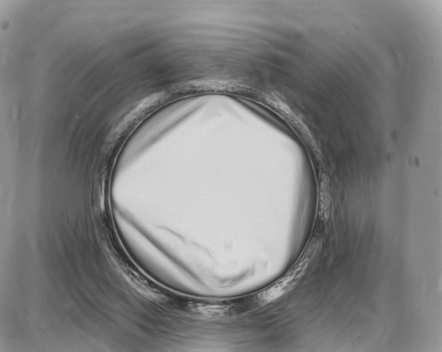 X0000087690062200706011729