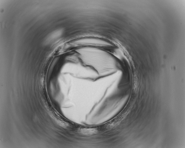 X0000087690063200706011729