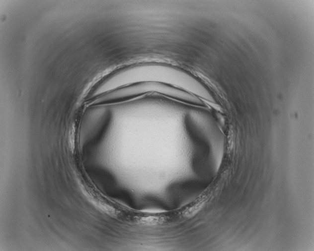 X0000087690064200706011729