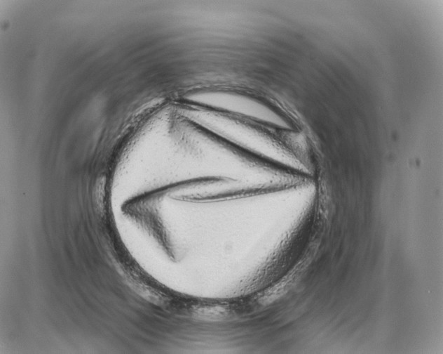 X0000087690066200706011729