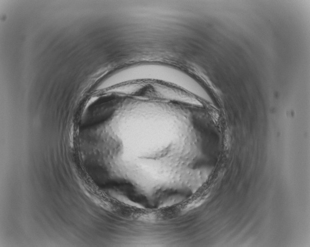 X0000087690068200706011729