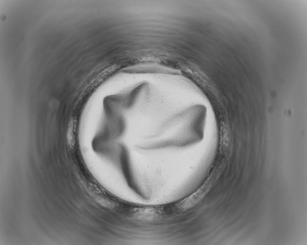 X0000087690074200706011730