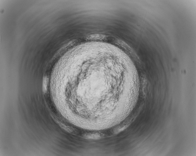 X0000087690075200706011730