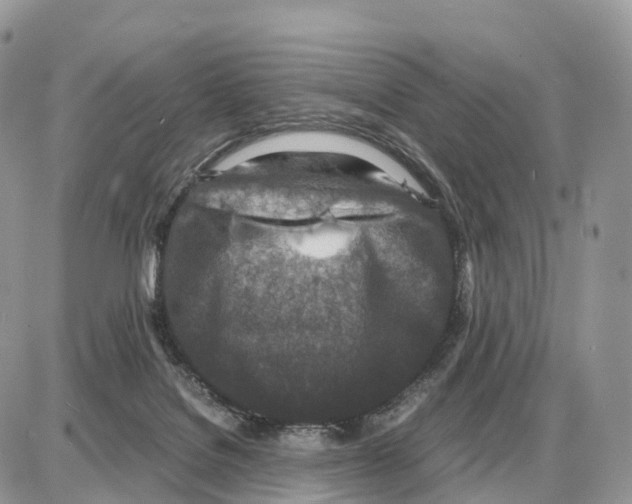 X0000087690076200706011730