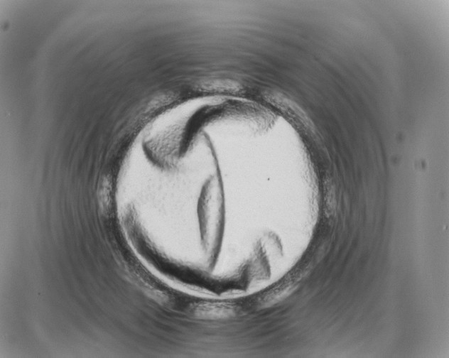 X0000087690077200706011730