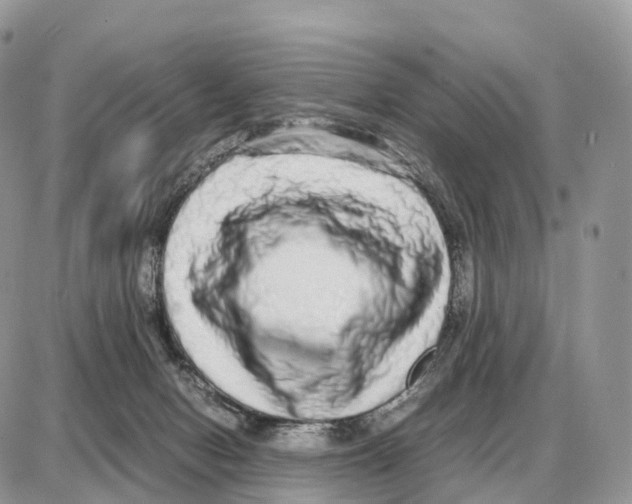 X0000087690078200706011730