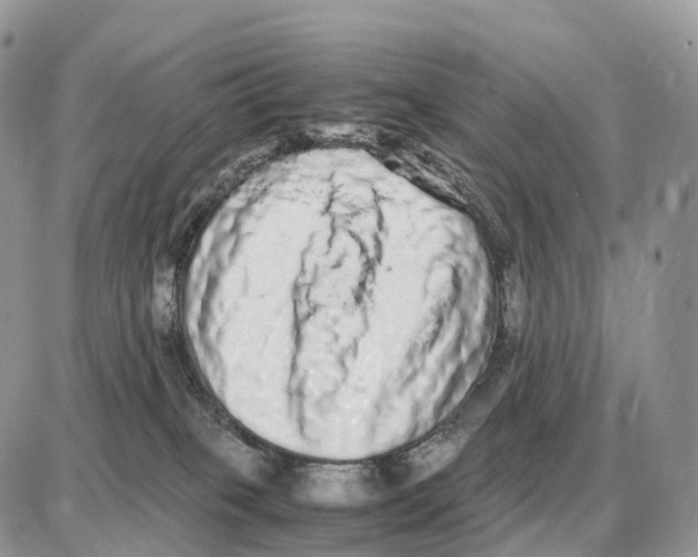 X0000087690085200706011730