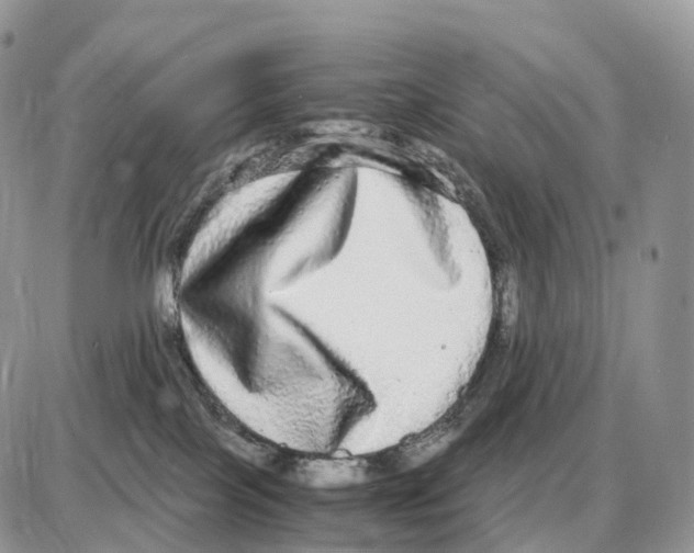 X0000087690089200706011730