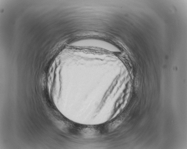 X0000087690119200706011729