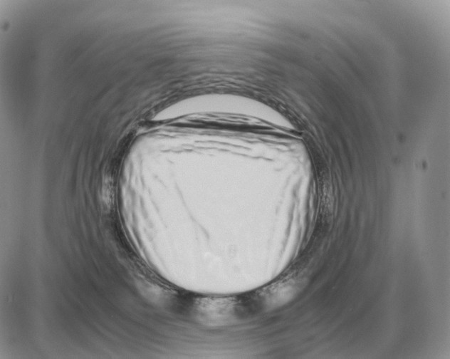 X0000087690135200706011729