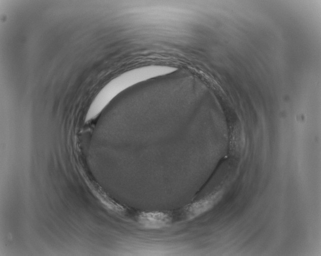 X0000087690137200706011728