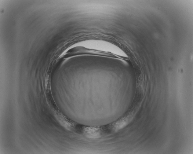 X0000087690139200706011728
